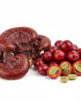 raw reishi mushroom with coffee fruit