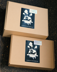 Wholesale Original Espresso Pods 100 Pack